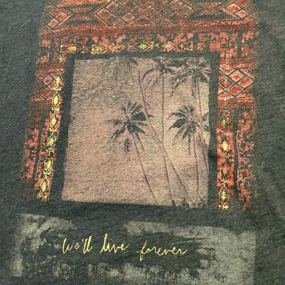 Hollister lightweight short sleeve t-shirt. In good condition. - Picture 4 of 5